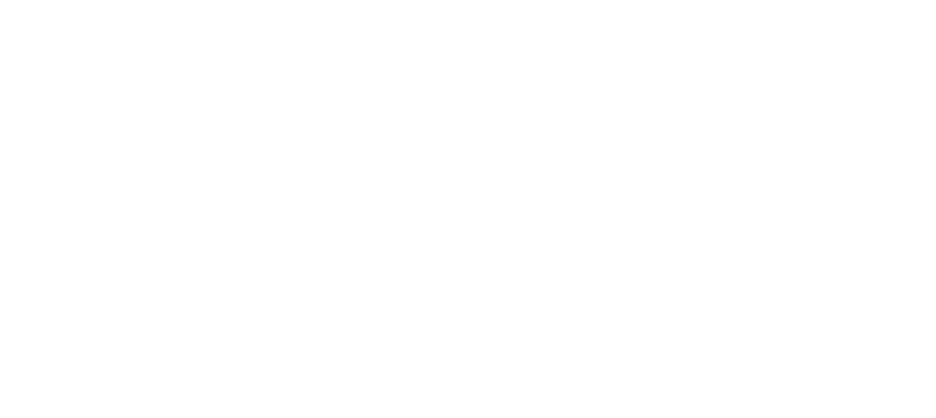 Fidelite
